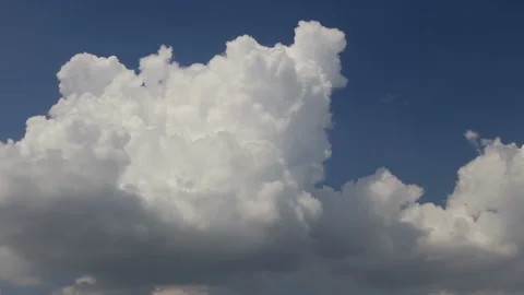 Swifts at background clouds Stockbeeldmateriaal 96339125