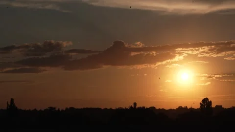 Swifts Dancing at Sunset (8K Resolution) Stock Footage 337121867