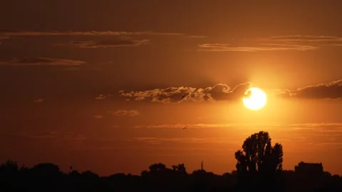 Swifts Flying at Sunset (8K Resolution) Stock Footage 337121818