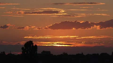 Swifts Flying at Sunset (8K Resolution) Stock Footage 337121875