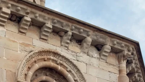 Swifts Nesting Stock Footage 284166812