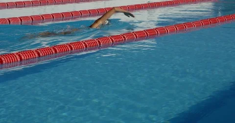 A swiimer doing the froent crawl in Olympic Swimming Pool lanes. Vídeo Stock 79824182