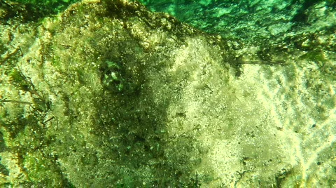 Swim Across Devil's Ear Stock Footage 739127