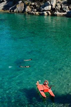 Swim in a bay 库存照片
