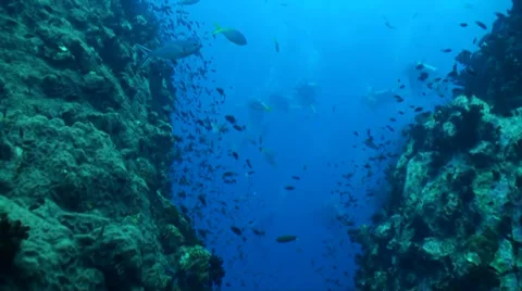 Swim between a gap in two pinnacles Stock Footage 33110823