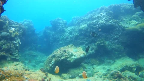 Swim dive down around to blue ocean underwater world with close up colorful Mont Stock Footage 279142569