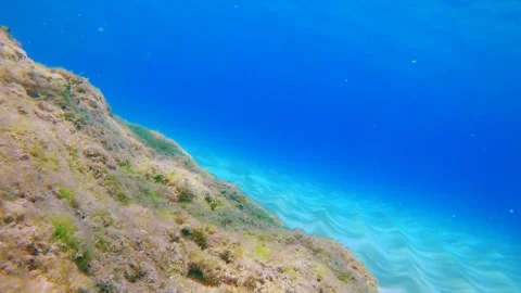 Swim diving down to the coral reef rock on white sandy bottom in ripple tides wa Stock Footage 279143353