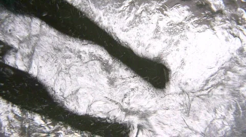 Swim Stock Footage 649528