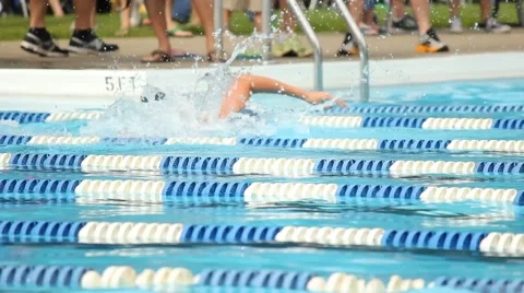 Swim meet 1 Video stock 55333483