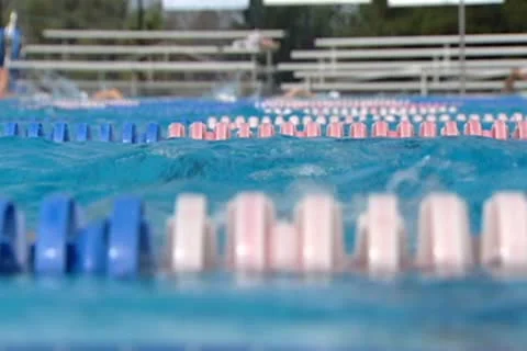 Swim meet Stock Footage 8923311