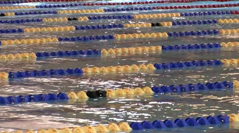 Swim Meet Stock Footage 10787582