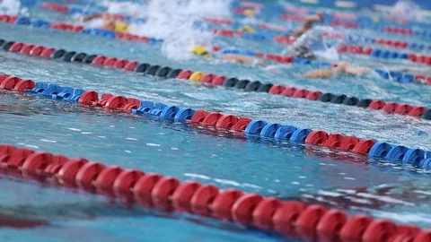 Swim Practice In The Pool Stock Footage 113519628