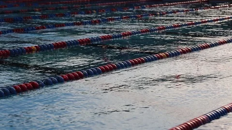 Swim Practice In The Pool Stock Footage 113520169