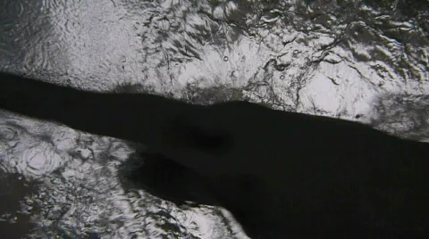 Swim Series Stock Footage 649575