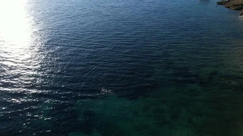 Swimmer alone in the middle of clean water Elba Island Capoliveri aerial ITALY Vídeos de archivo 219737685