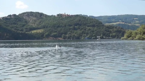 A swimmer are training in the lake Stock Footage 93869999