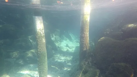 Swimmer in crystal clear spring water Stock Footage 111227353