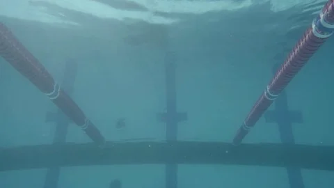 Swimmer diving 스톡 동영상 77053878