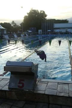 Swimmer diving into the pool at sunset Stock Photos