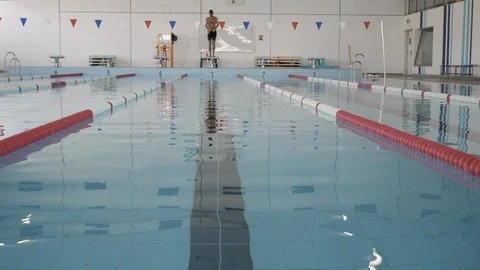 Swimmer Diving Into Swimming Pool Stock Footage 95185727
