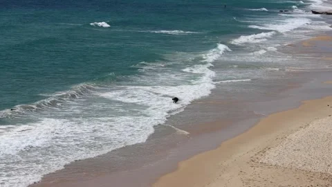Swimmer entering surf Video stock 279203366