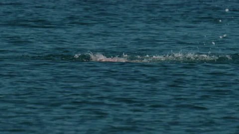 Swimmer executing a freestyle stroke, creating splashes in the deep blue sea. Stock Footage 339797857