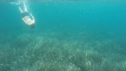 Swimmer in flippers dives into the sea Stock Footage