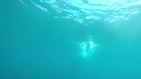Swimmer in flippers dives into the sea Stock Footage