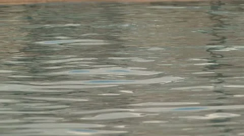 Swimmer Stock Footage 12049610