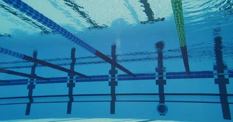 Swimmer Head Jumps Into The Pool Swimming Dolphin Kick Stock Footage 70606592