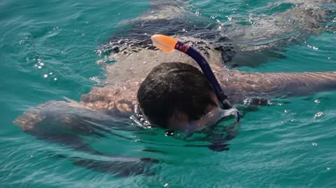 Swimmer in mask Vídeos de archivo 20220130