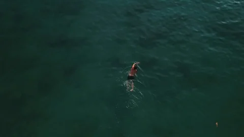 Swimmer in Open Sea Video stock 98517439