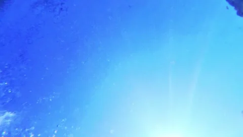 Swimmer passes over the camera Stock Footage 315777497