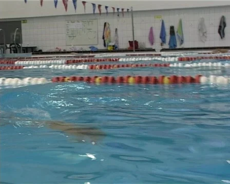 Swimmer in the pool Stock Footage 77786