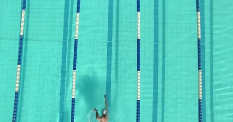 Swimmer in pool Stock Footage 77051184