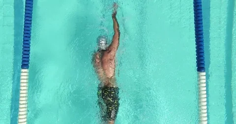 Swimmer in pool Stock Footage 77051186