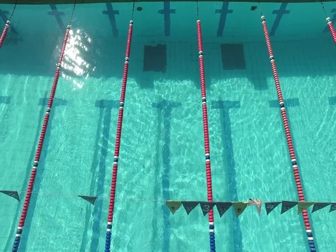 Swimmer in pool Video stock 77051196