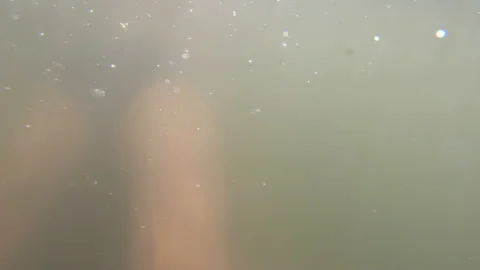 The swimmer rafts down the stream in the mountain river. Cardio exercise. Stock Footage 93087860