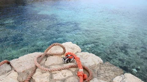 Swimmer in the sea Stock Footage 43386299