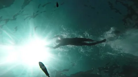 Swimmer Silhouette Swimming Sun Rays Underwater Fish Passing Background Vacation Stock Footage