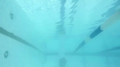 Swimmer swimming Stock Footage 77053887