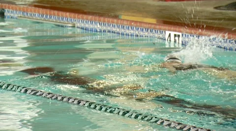 Swimmer swimming in pool Stock Footage 54593345