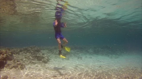 Swimmer view from under the water red sea Stock Footage 108582495