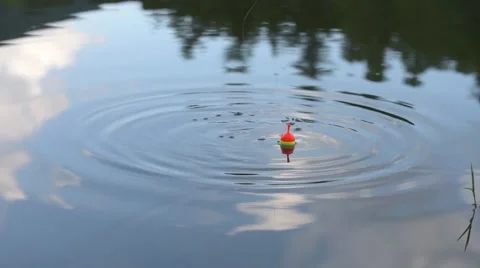 Swimmer in the water Stock Footage 50387571