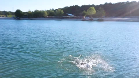 Swimmers are training for a triathlon. Stock-Footage 346878286
