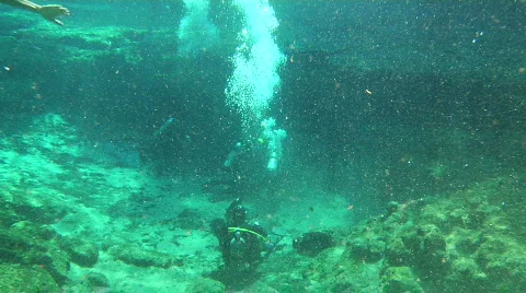 Swimmers &amp; Divers in Spring Stock Footage 739130