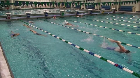SWIMMERS DO LAPS INDOOR POOL Video stock 51059130
