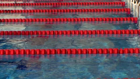 Swimmers doing laps in pool Stock Footage 85833641