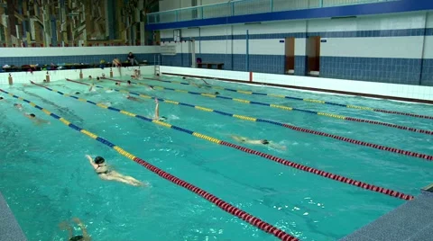 Swimmers doing laps in swimming pool Stock Footage 54318812