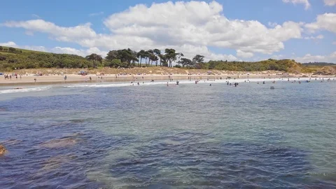 Swimmers enjoying the sun and surf 스톡 동영상 123765388